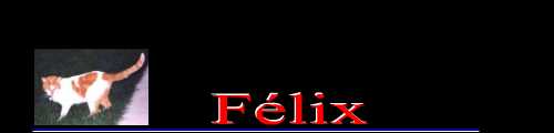 Clic ici pour m'�crire..