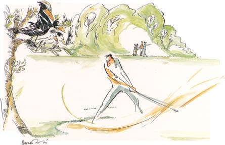 golf3b.jpg (20862 octets)